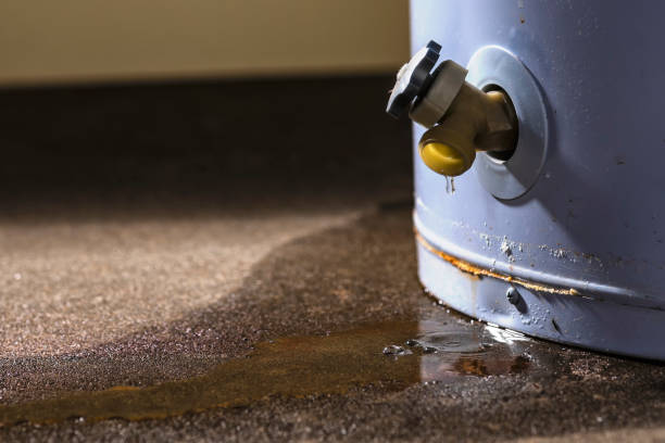 Best Water damage restoration insurance claims  in Wheatley Heights, NY