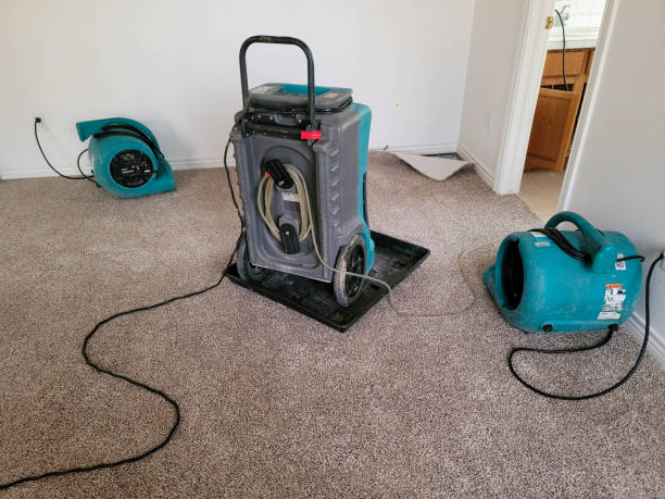 Best Water damage cleanup near me  in Wheatley Heights, NY