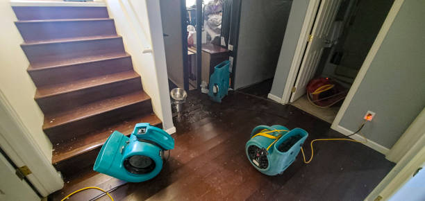 Best Carpet water damage restoration  in Wheatley Heights, NY