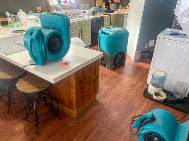 Water damage restoration mold remediation in NY
