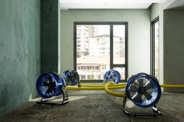 Best Professional water damage repair  in Wheatley Heights, NY